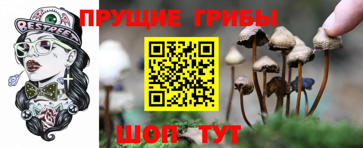 Псилоцибиновые грибы прущие грибы  Вход с VPN  цена наркотик  Белово  Псилоцибиновые грибы MAGIC MUSHROOMS 